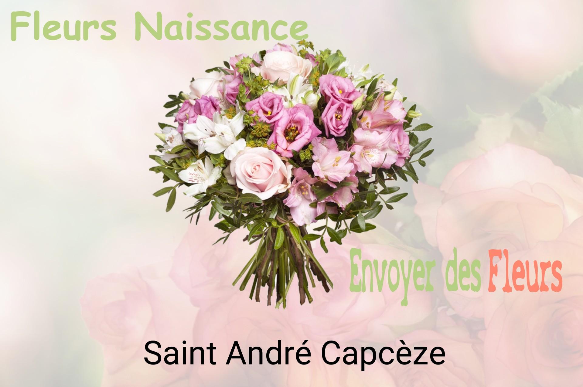 Bouquet de fleurs de naissance livré à Saint-André-Capcèze