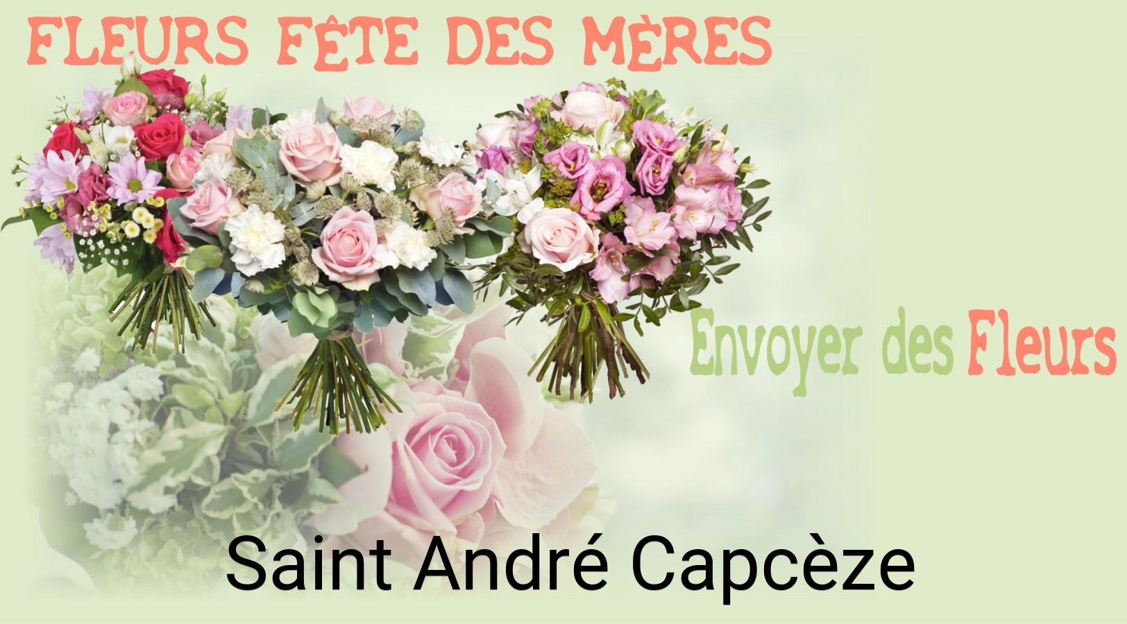 Bouquet de Fête des Mères livré à Saint-André-Capcèze